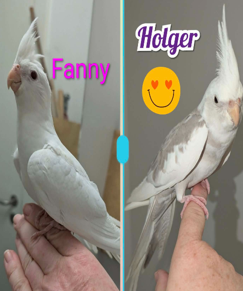 Fanny og Holger